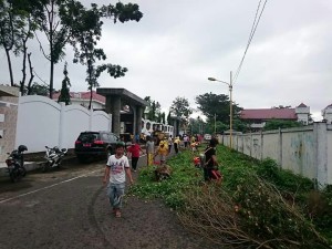 minsel