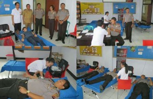 donor darah