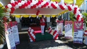 minsel