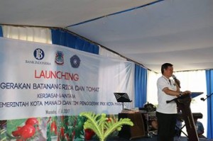 Tanam Cabe