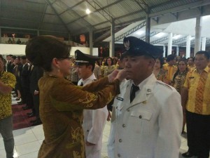 minsel