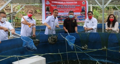tomohon