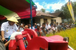 Wagub Kandouw Panen Padi Bersama Masyarakat Dumoga