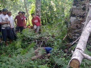 Jatuh dari Pohon Kelapa, Warga Desa Raanan Baru Ditemukan Tewas