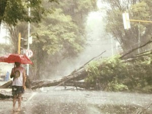 Angin Kencang dan Hujan Deras Landa Kota Manado Hari Ini