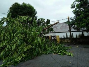 Cuaca Extrim, Puluhan Rumah di Minsel Rusak Parah