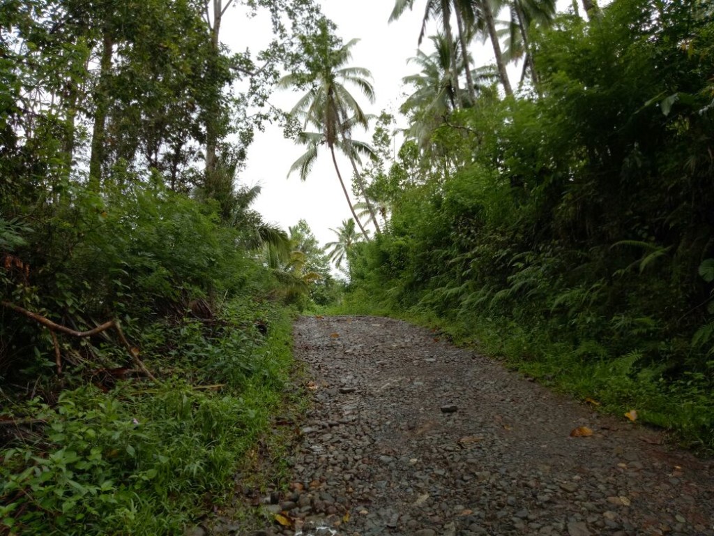 Jalan Raanan Baru – Toyopon Rusak Parah