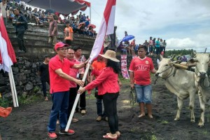 Kejuaraan Berkuda, Balap Sapi dan Bendi Draf Jadi Daya Tarik Pariwisata Sulut