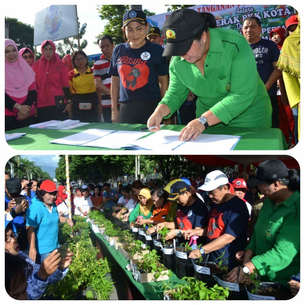 Gerakan “MaMa Cabai” di Bitung Tingkatkan Ketahanan Pangan