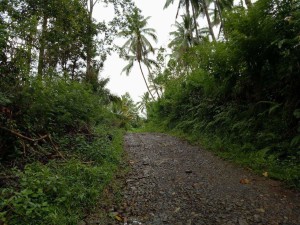 Jalan Desa Toyopon Rusak Parah