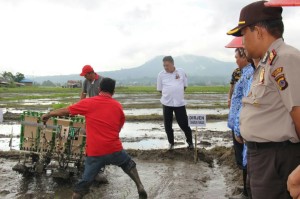 Pemprov Sulut Gerakan Sektor Pertanian Dengan Gerakan Menanam