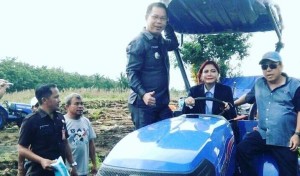 ALSINTAN Kementerian Perdana Digunakan Bupati VAP Panen Jagung di Desa Paniki Atas