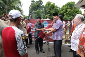 Wagub Kandouw Serahkan Hewan Kurban Presiden Jokowi