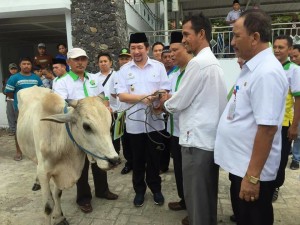 Pemkot Manado Serahkan 11 Ekor Sapi