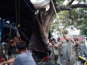 Satpol PP Tertibkan PKL Eks Bioskop Benteng