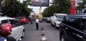 113 Petugas Dishub Bantu Kepolisian Atur Lalin