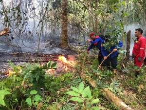Waspada Kebakaran, Tim Gabungan Bahu-Membahu di Minahasa