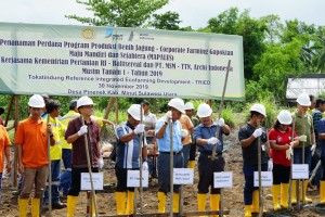 PT MSM Hijaukan Lahan Tambang Dengan Tanam Bibit Jagung