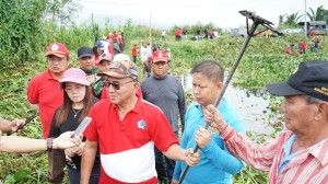 Selamatkan Danau Tondano, Masyarakat Angkat Enceng Gondok di 194 Titik
