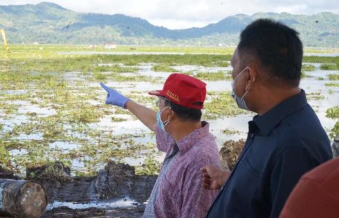 Pengangkatan Eceng Gondok di Danau Tondano Terus Dipacu