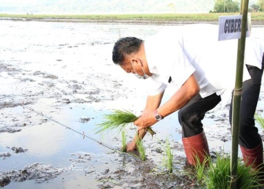 Olly Dondokambey Gerakkan Masyarakat Menanam