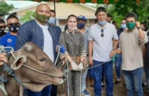 SGR-PDM Berqurban 6 Ekor Sapi Dan Uang Tunai Rp380 Juta