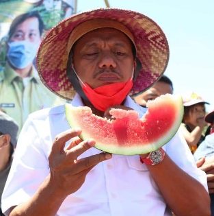 Olly Beli 10 Ton Semangka Dari Petani di Tatapaan Minsel