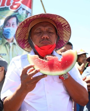 Olly Beli 10 Ton Semangka Dari Petani di Tatapaan Minsel