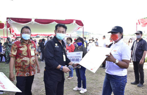 Menteri Pertanian Panen Jagung di Sulut