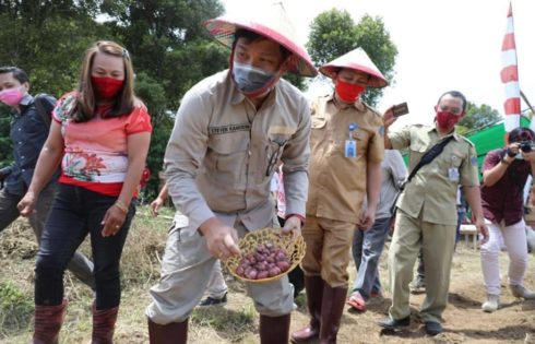 Di Bolmong, Steven Kandouw Jadi Petani, Tanam Bawang Merah