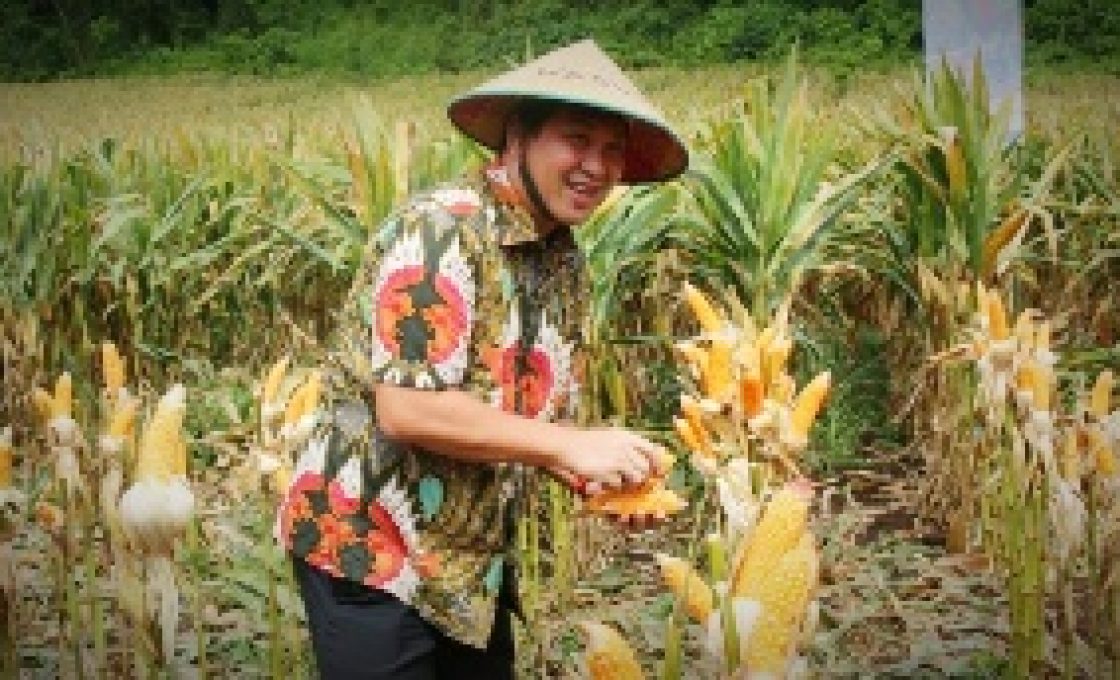 Terus Tingkatkan Produksi Pertanian, Wagub Salurkan Bantuan Benih ke Petani