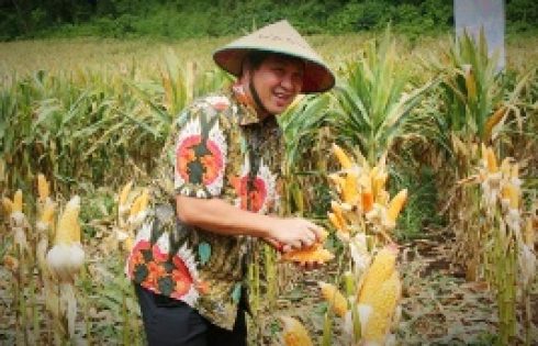 Terus Tingkatkan Produksi Pertanian, Wagub Salurkan Bantuan Benih ke Petani