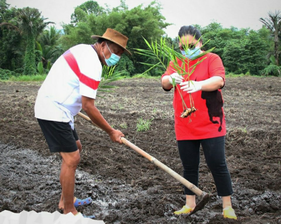 IMG-20200926-WA0040 IMG-20200926-WA0040