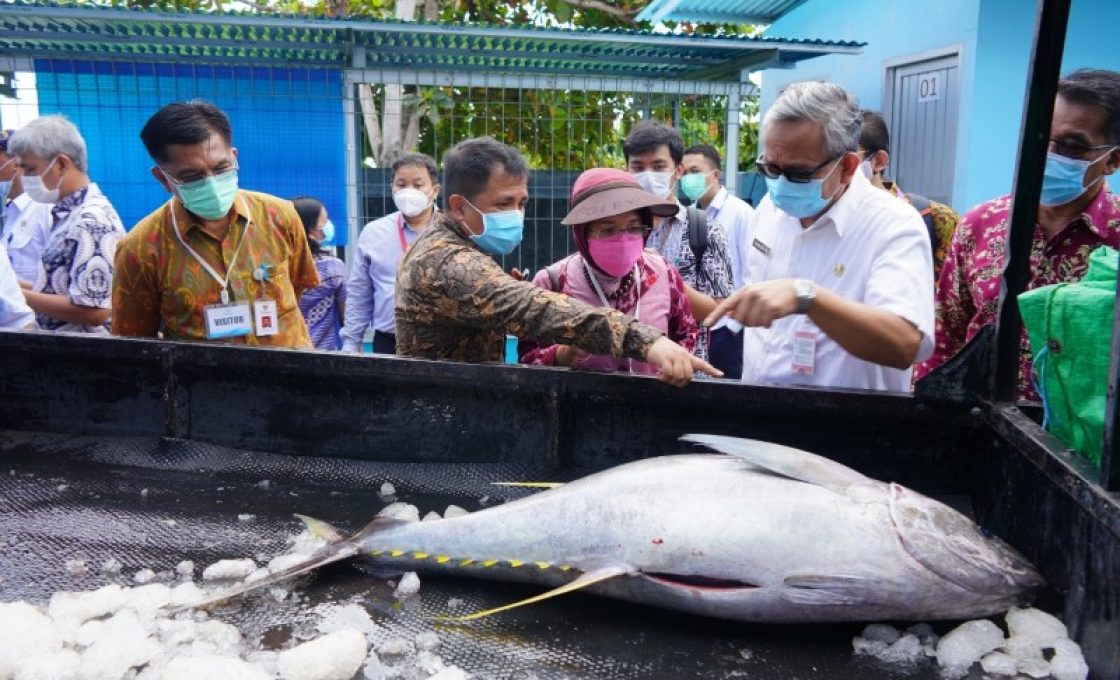 Pulihkan Ekonomi, Bappenas Pastikan Percepatan Pembangunan KEK Bitung