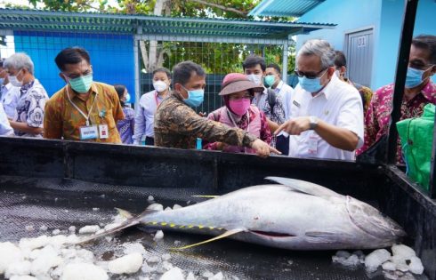 Pulihkan Ekonomi, Bappenas Pastikan Percepatan Pembangunan KEK Bitung