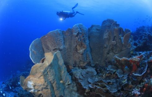 Bawah Laut Bolsel, Indah Bagi Penyelam, Terdapat 22 Spot