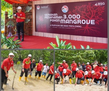 BSG dan PPATK Peduli Lingkungan, Tanam 3.000 Bibit Mangrove dan Lepas 500 Tukik Penyu di Bunaken