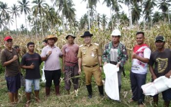 IMG-20240307-WA0006(1)