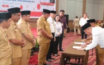 bsg bolsel bsg bolsel