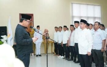 KONI Bolmut