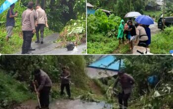 GridArt_20250322_195350503