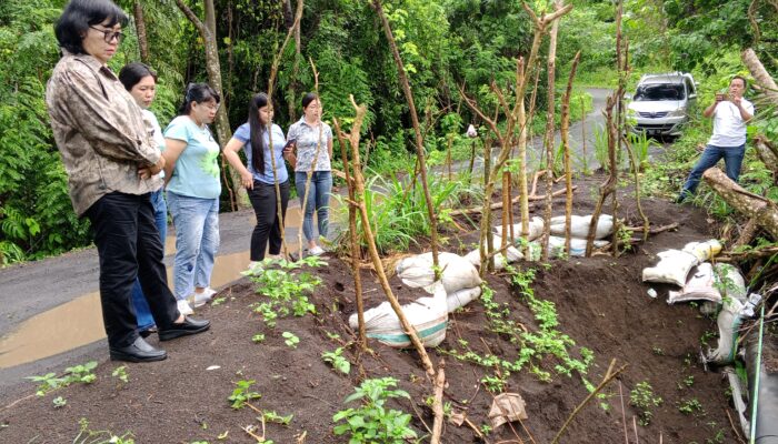 Serap Aspirasi Masyarakat, Anggota DPRD Eugenie Mantiri Langsung Tinjau Lokasi Jalan Longsor