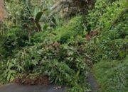 Warga Desak Segera Turunkan Alat Berat, Akses Menuju Kumelembuai Raya Tertimbun Longsor Besar