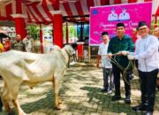 Jelang Idul Adha, Bupati Joune Ganda Salurkan Hewan Kurban ke Masyarakat Muslim