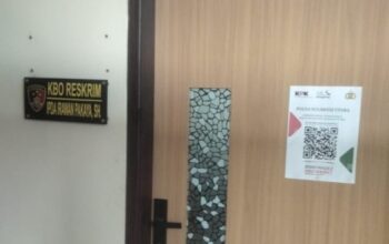 IMG-20251103-WA0032_copy_540x485