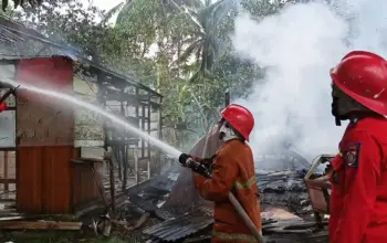 IMG-20251217-WA0015 IMG-20251217-WA0015