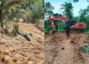 Penambangan Emas Ilegal di Perkebunan Salak Tobongon Sakti, APH Dituding Tak Mampu Hentikan
