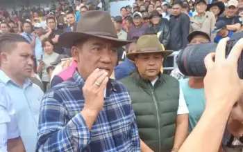 FB_IMG_1767566434647 FB_IMG_1767566434647