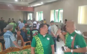 lomba domino