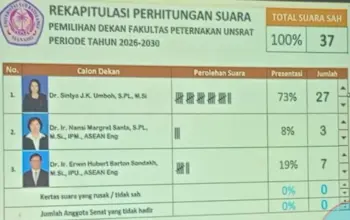 IMG-20260225-WA0013-1